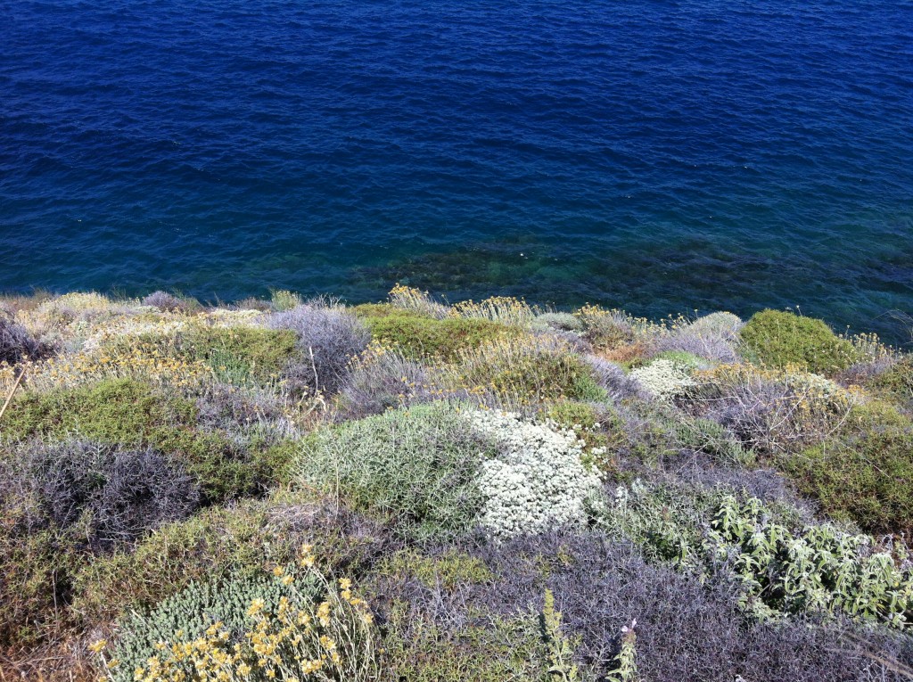 Alenetid på Syros - TrivselsGuide.dk